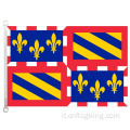 100% poliestere bandiera Borgogna 90*150 cm bandiera Borgogna